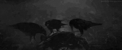 Gif animé gothique corbeaux